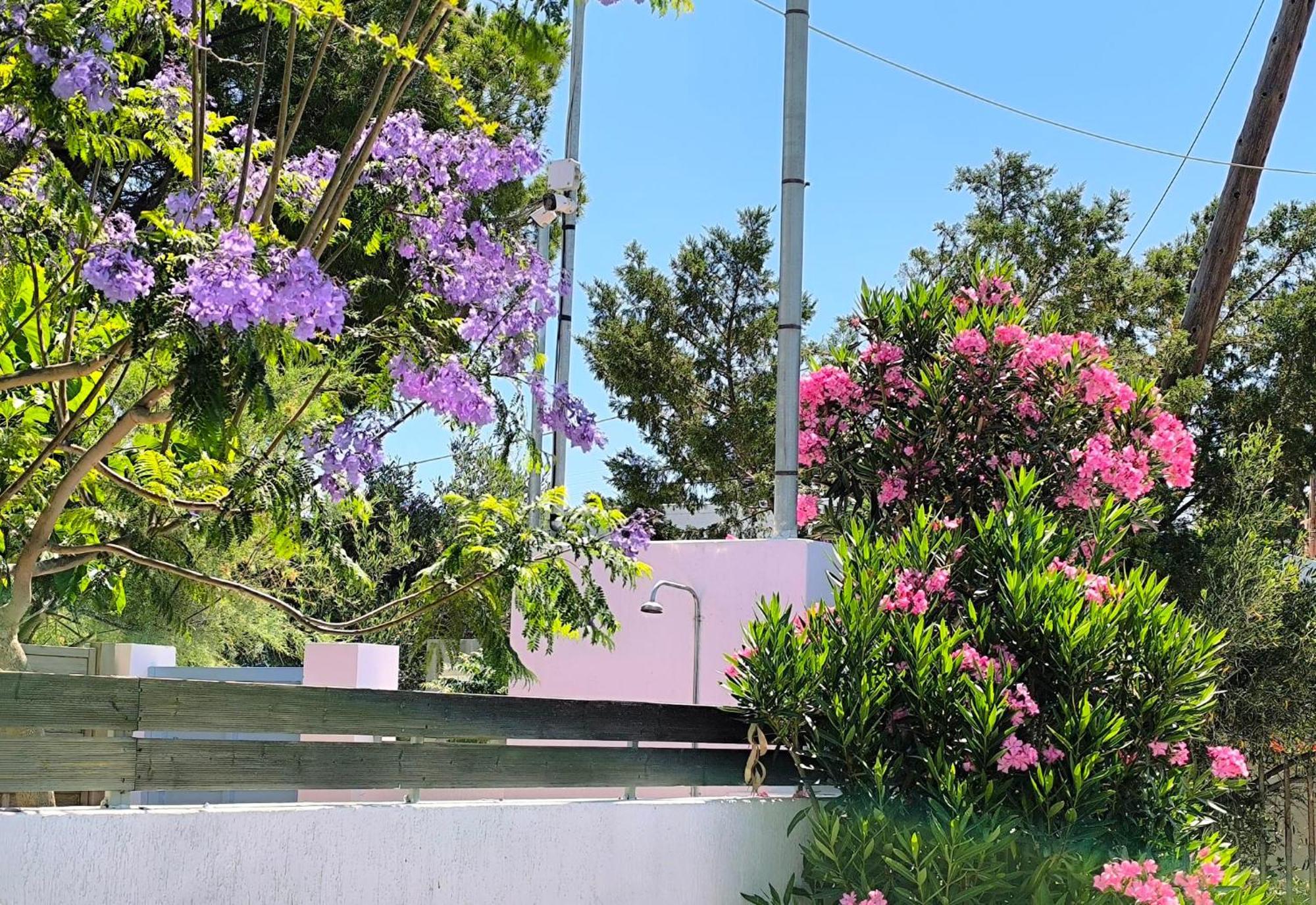 Seaside Jacaranda Lejlighed Schinias Eksteriør billede